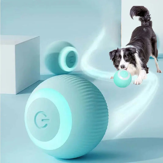 Electric Pet Ball